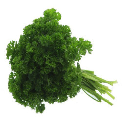 PERSIL FRISE BOTTE 20X200G